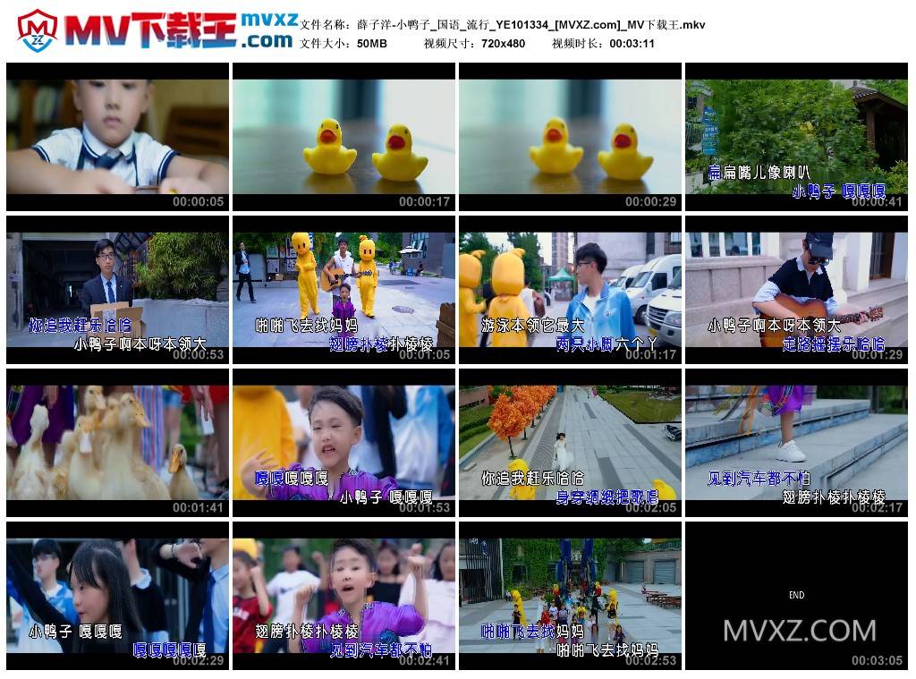 薛子洋-小鸭子_国语_流行_YE101334
